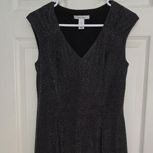 White House Black Market Shimmery V-Neck Dress